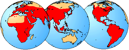 distribution of living members of the family Bufonidae