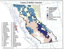 Caribou Ecotypes in BC