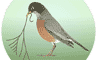 Early Bird logo